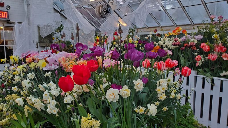 Botanic Garden Of Smith College