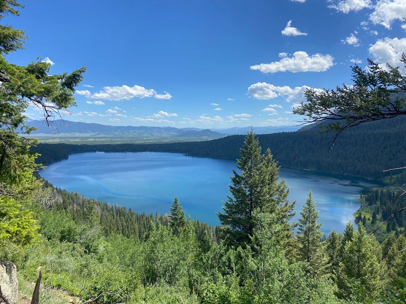 Phelps Lake Overlook
