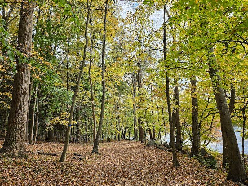 Teatown Welcomes Dogs, Strollers, And All Skill Levels