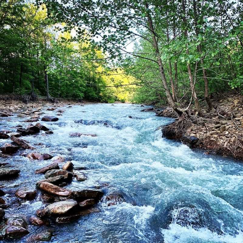 Mulberry River
