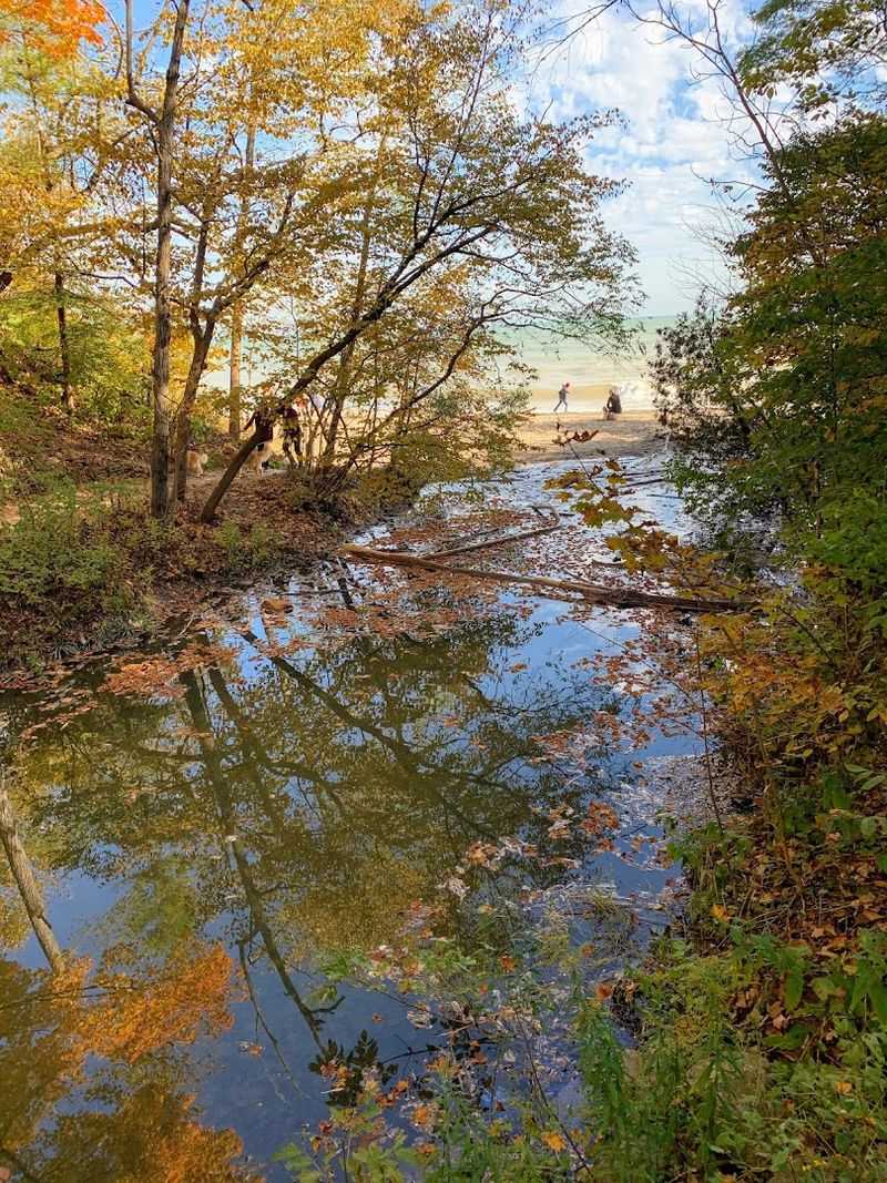 Fall Foliage Makes The Trail Especially Beautiful