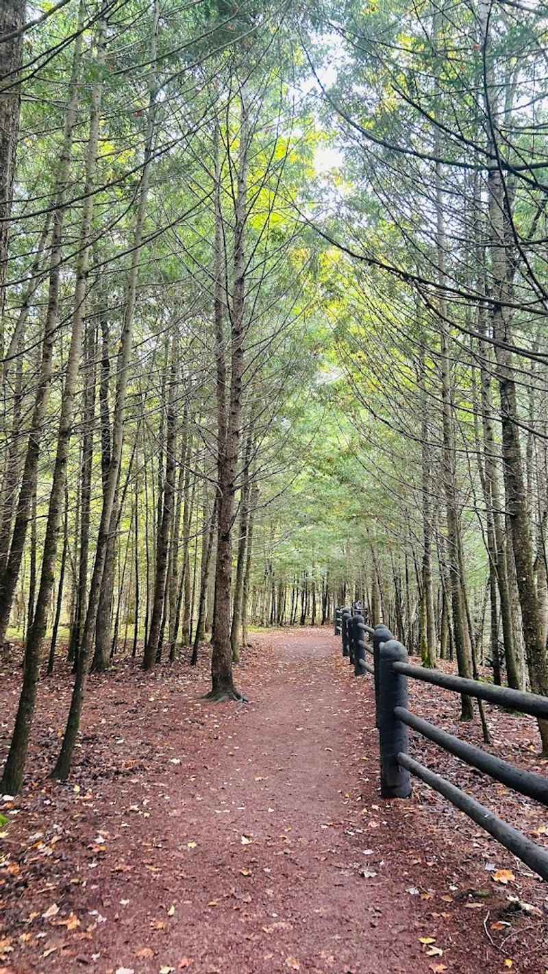 The Route Connects With The North Country Trail