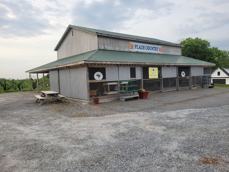 Peach Country 
