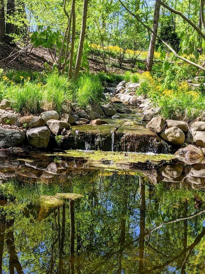 Gardens Grown With Real Intention