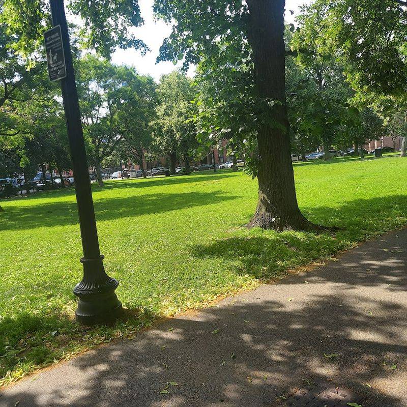 Morning Yoga, Tai Chi, And The Park As A Living Room
