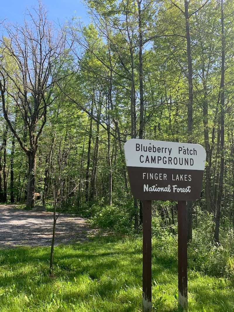 Blueberry Patch Campground
