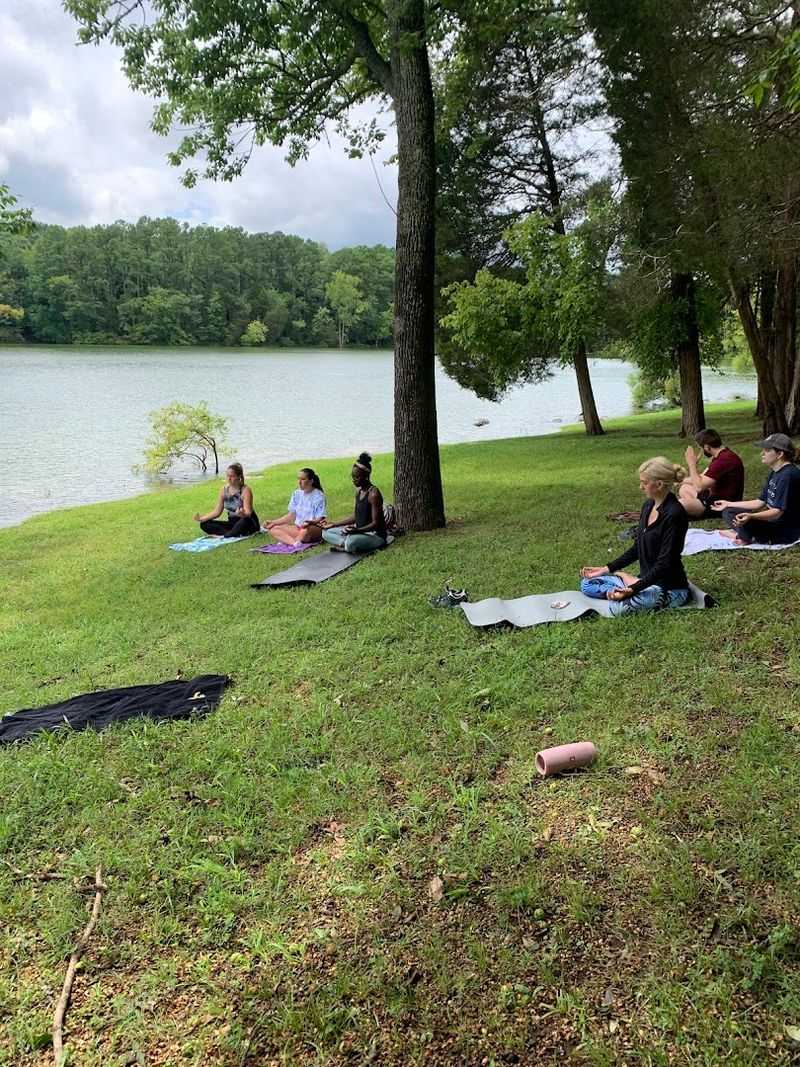 Picnicking And Family Days Done Properly At The Lake