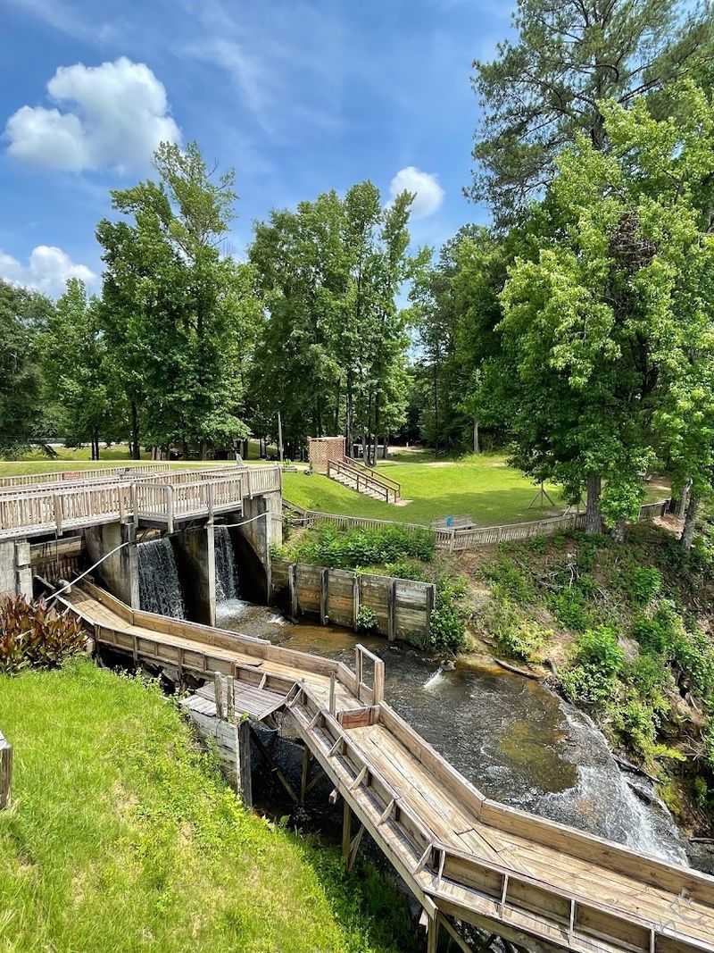 Picnic Areas Built For Actual Relaxation