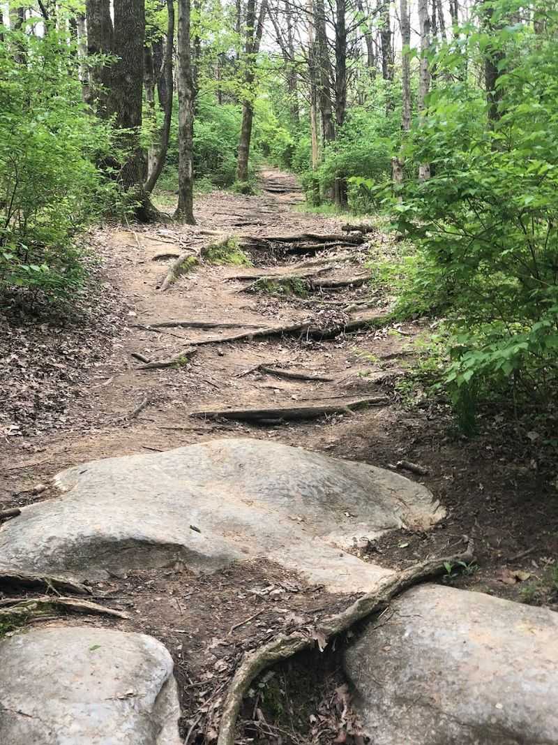 Hiking And Biking Trails With Views Worth The Effort