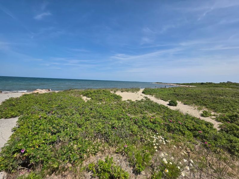 Birding At One Of New England's Premier Wildlife Habitats