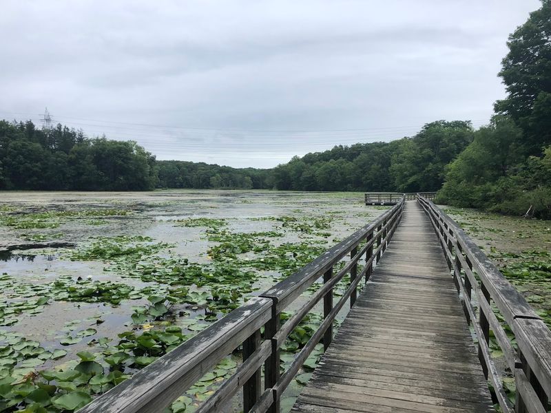 Fifteen Miles Of Trails Built For Every Kind Of Hiker