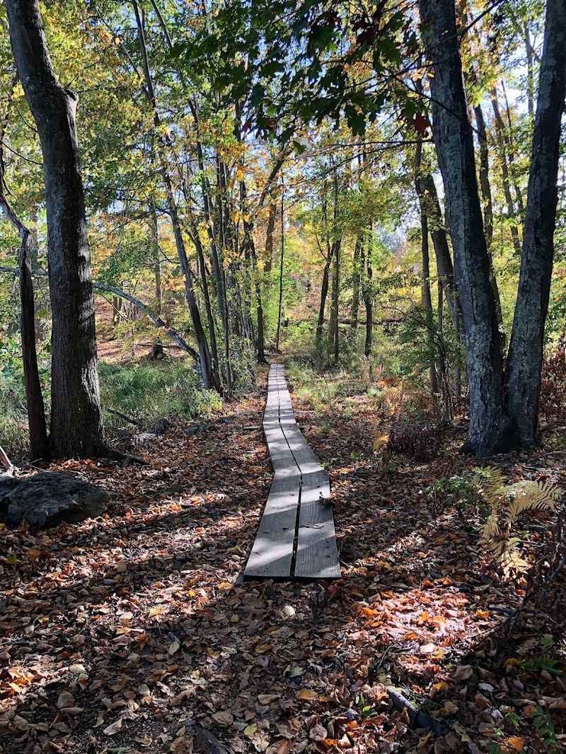 The Preserve's Conservation Work Runs Deep
