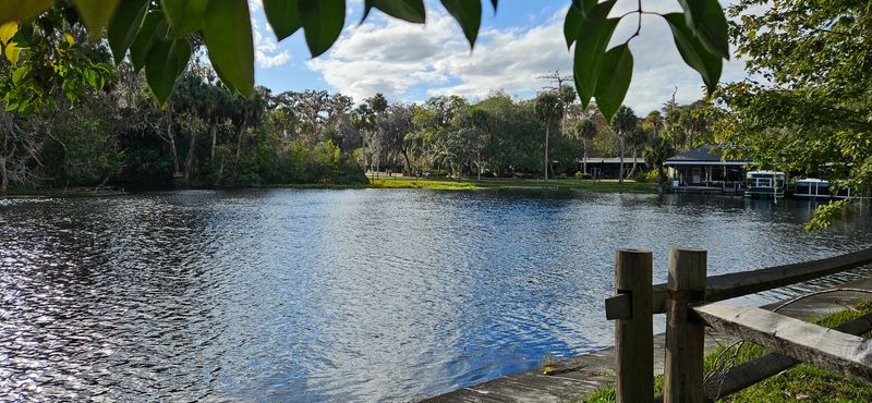 Impact Of Transparency On Local Wildlife Habitats