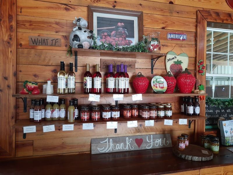 Homemade Products Derived From Fresh Fruit