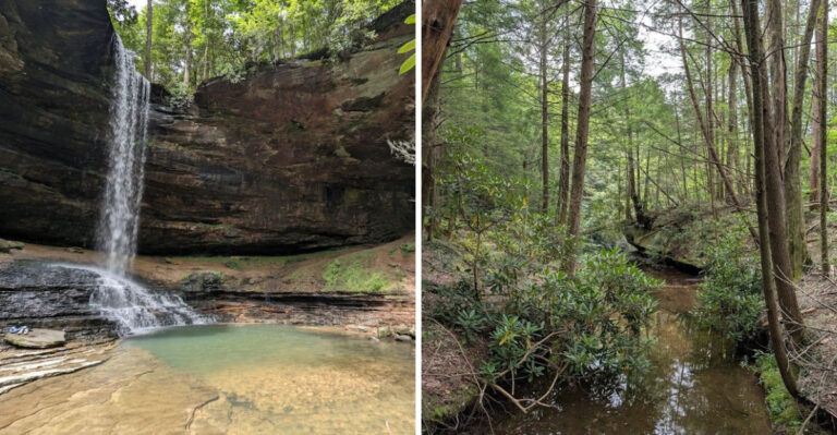 Tennessee Has A Park So Serene It Feels Like A Peaceful Escape From Everything