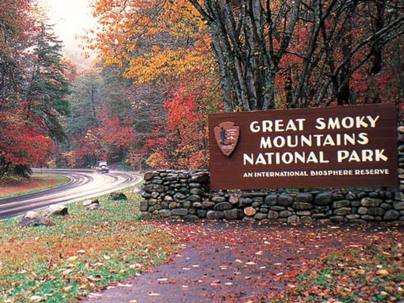 The Great Smoky Mountains Get More Visitors Than The Grand Canyon And Yellowstone Combined