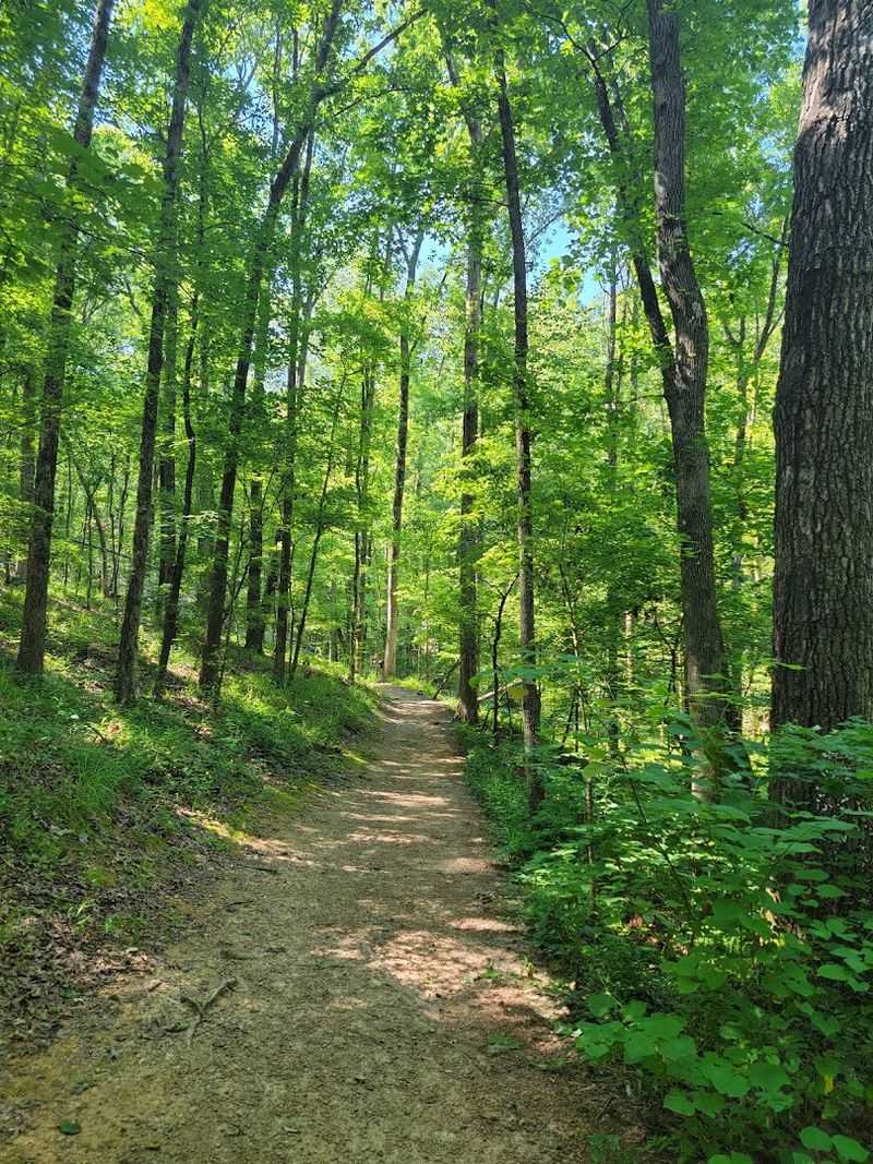 Trail Networks For All Skill Levels