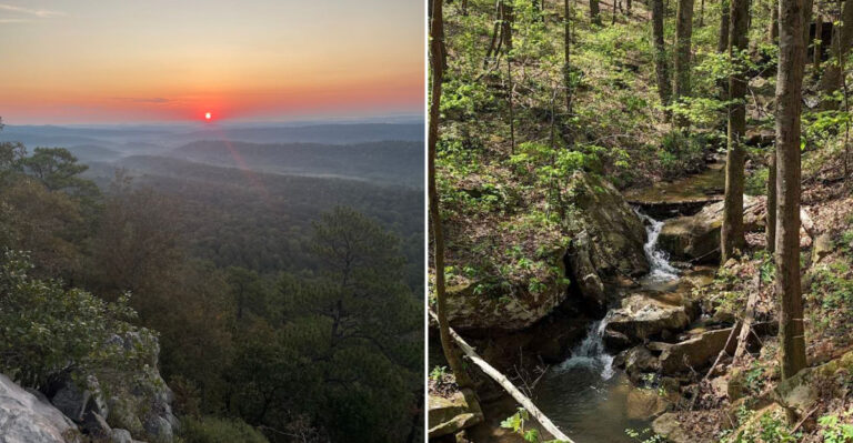 The 11,800 Acre Alabama State Park Offering Trails, Lakes And Quiet Nature Without Crowds