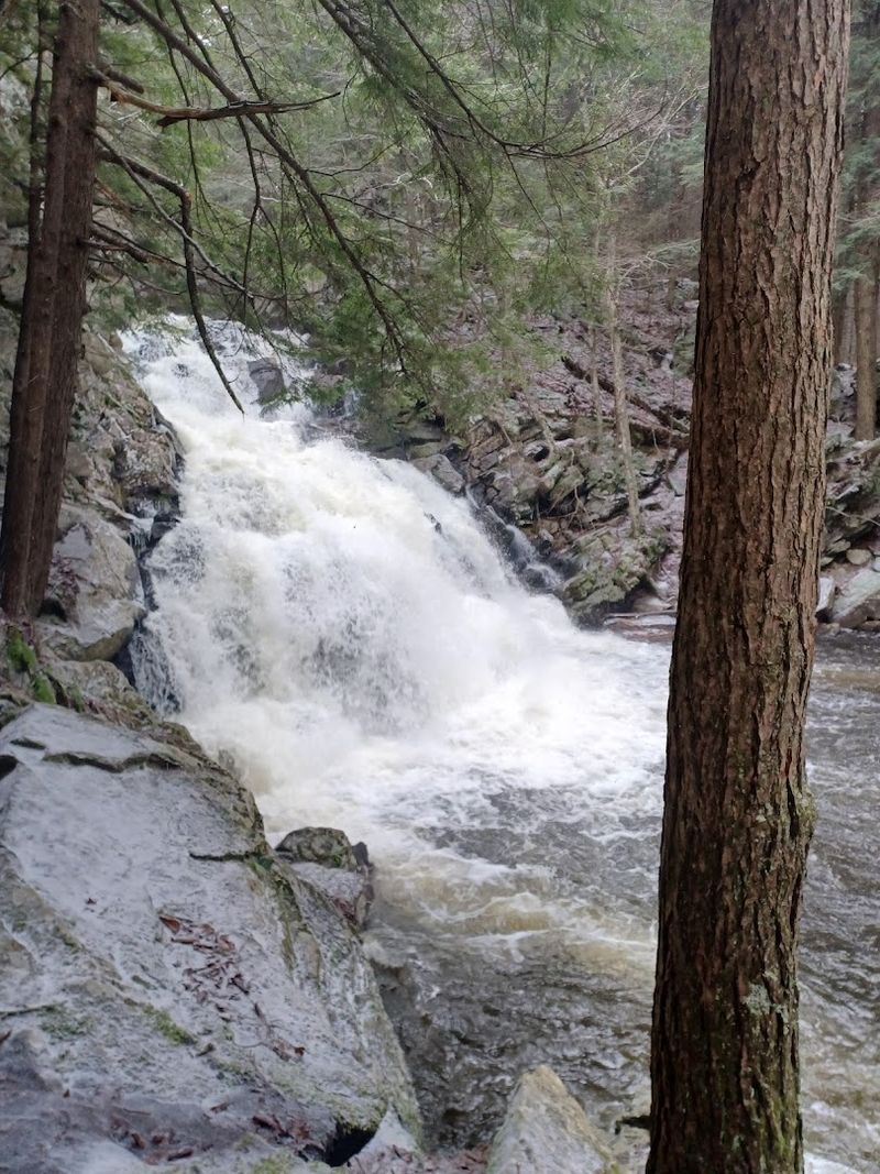 Why Spring Is The Absolute Best Season To Make This Trip