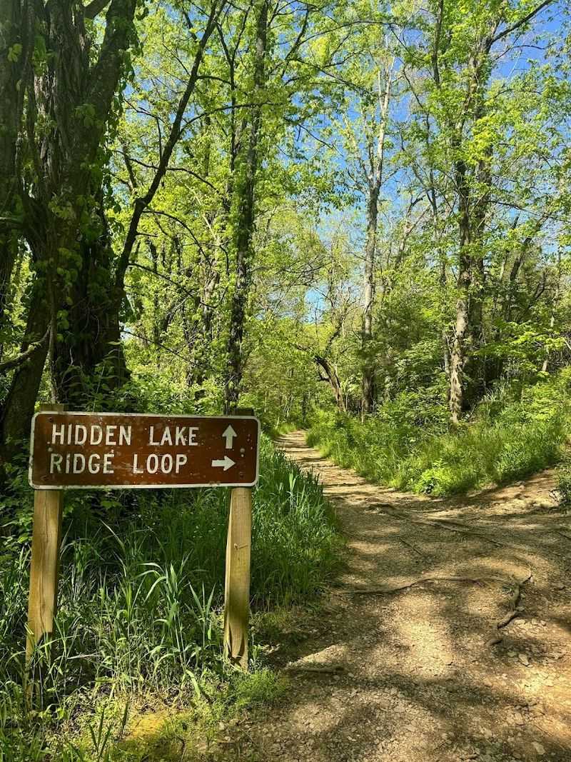 Practical Tips For Planning Your First Visit To Hidden Lake