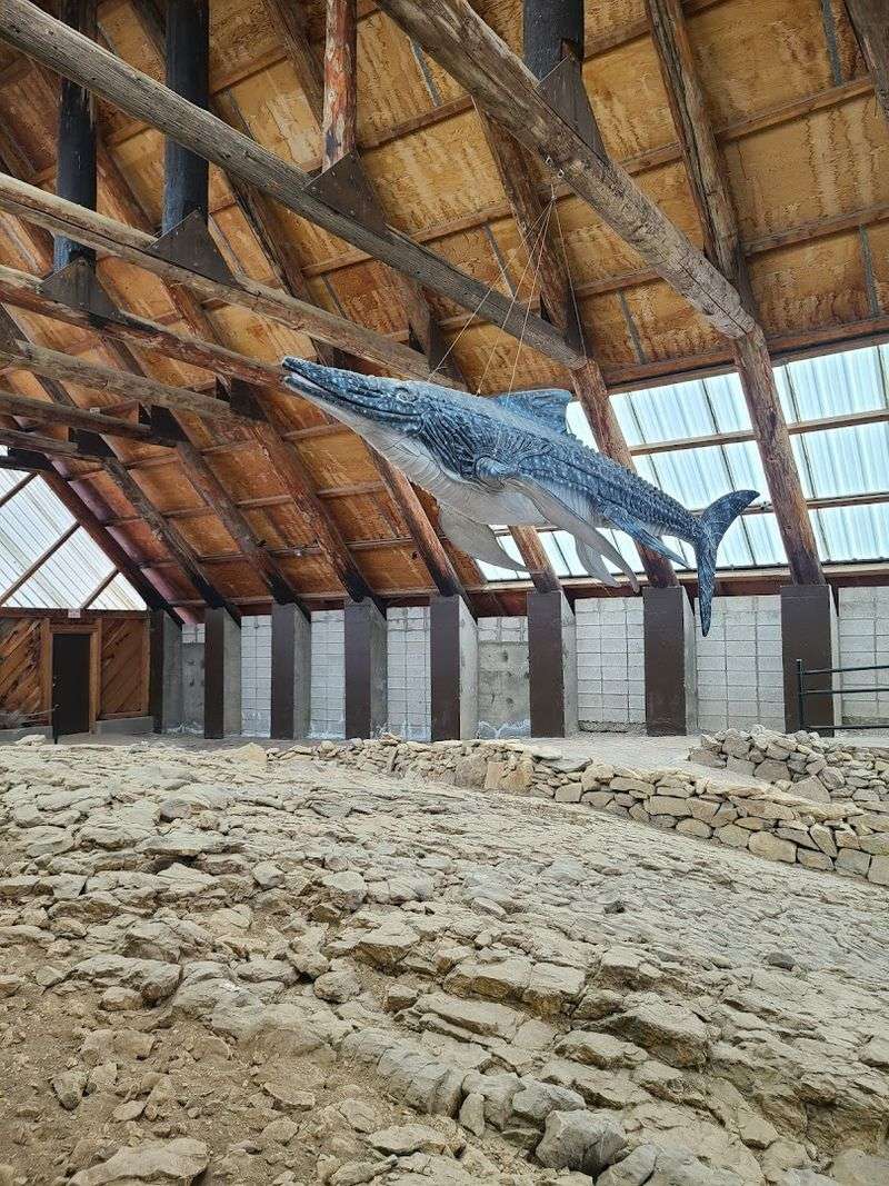 Berlin Holds One Of North America's Richest Ichthyosaur Fossil Sites