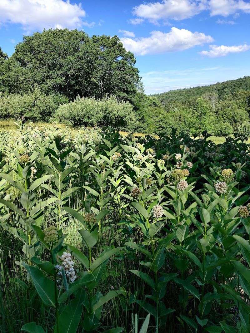 Shelburne Falls, The Town That Sets The Perfect Stage