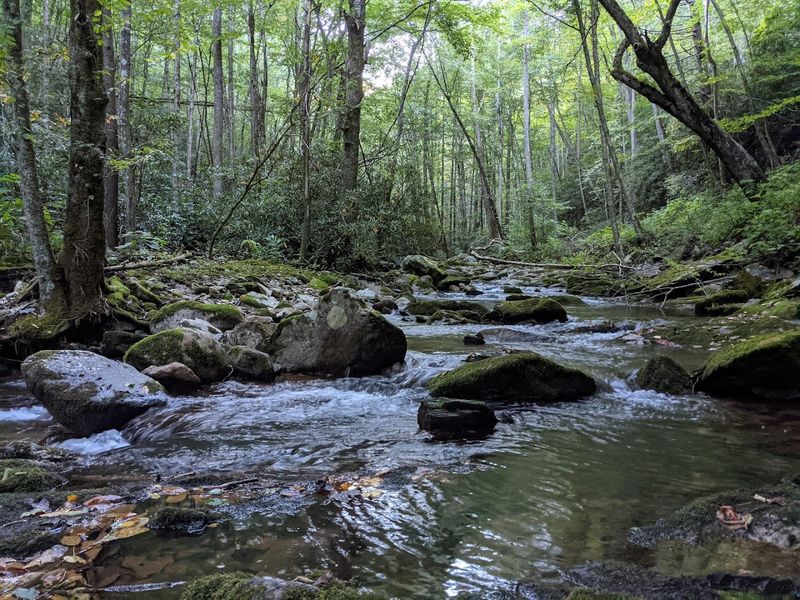 Rocky Fork State Park And Its Nearly 10,000 Wild Acres