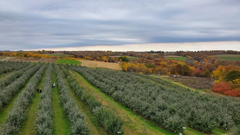 Maple Ridge Orchard, Cashton