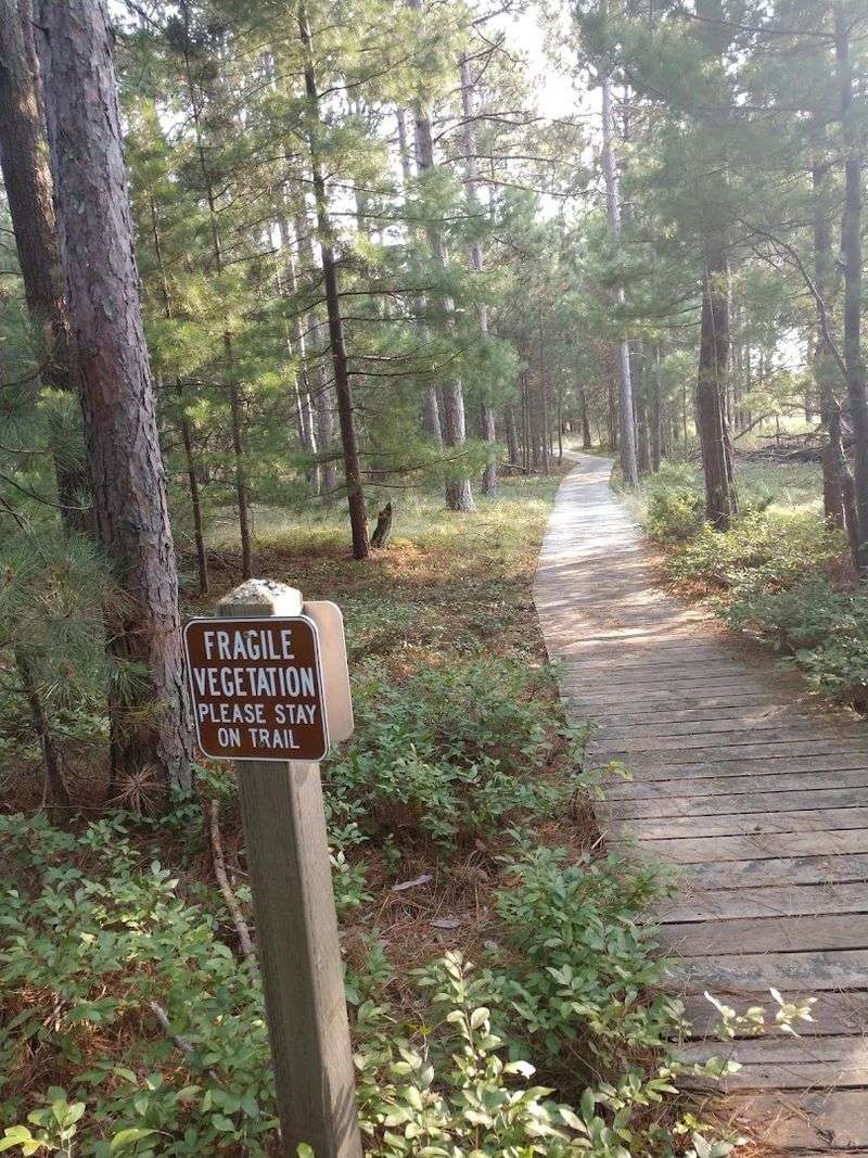 Birdwatchers Can Find A Peaceful Stop Here