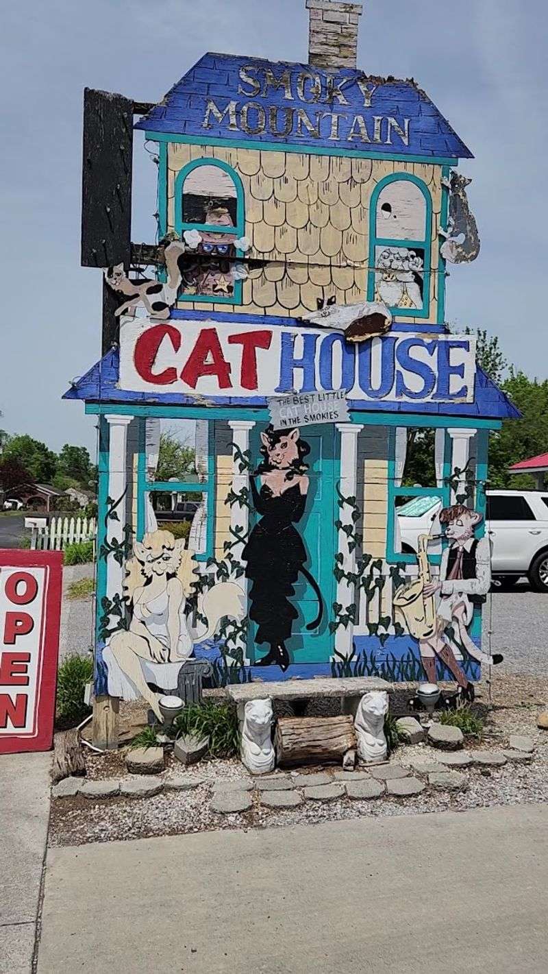 Planning Your Visit To This One-Of-A-Kind Pigeon Forge Destination