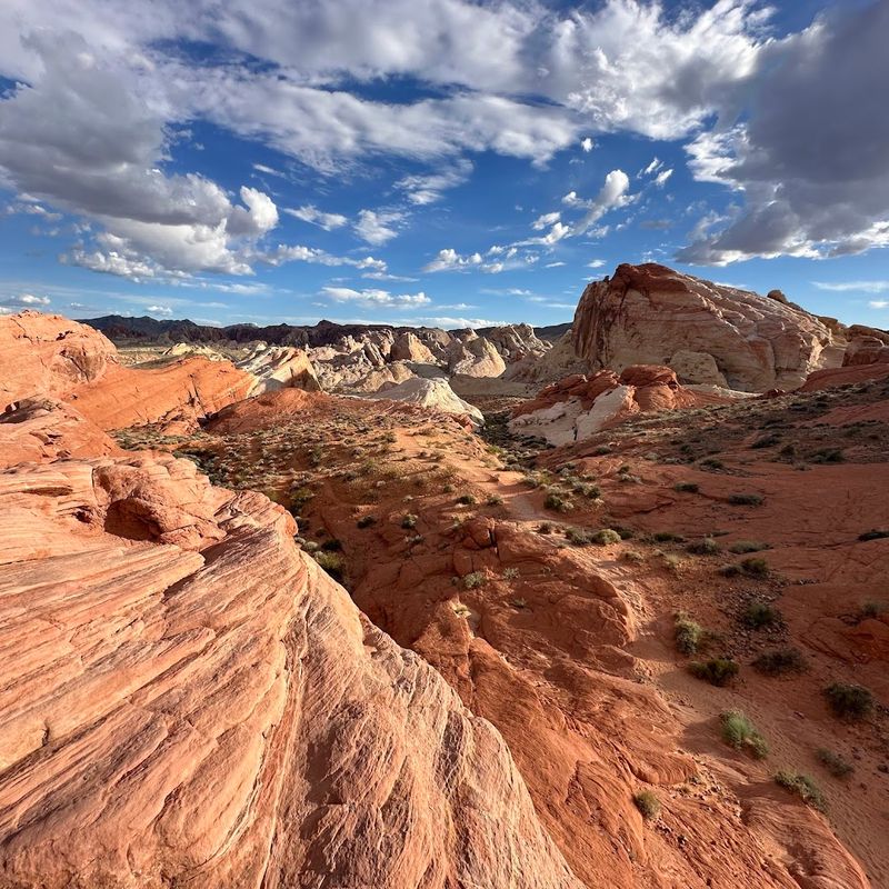 The Park Covers Around 40,000 Acres