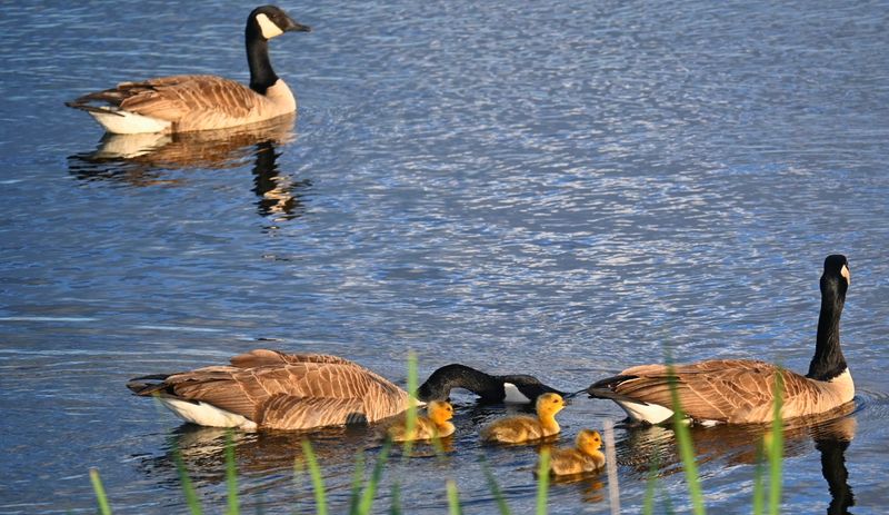 Wildlife Viewing Is One Of The Biggest Reasons To Visit