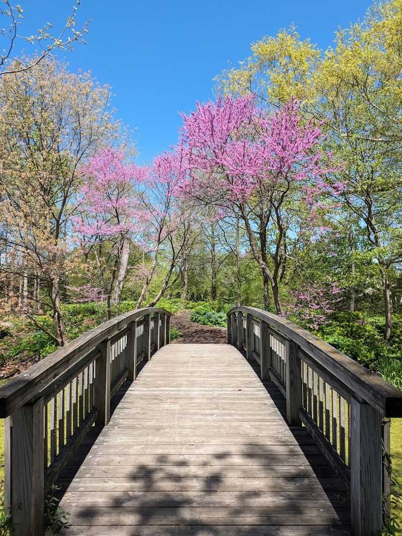 Specialty Gardens Make Every Turn Feel Different