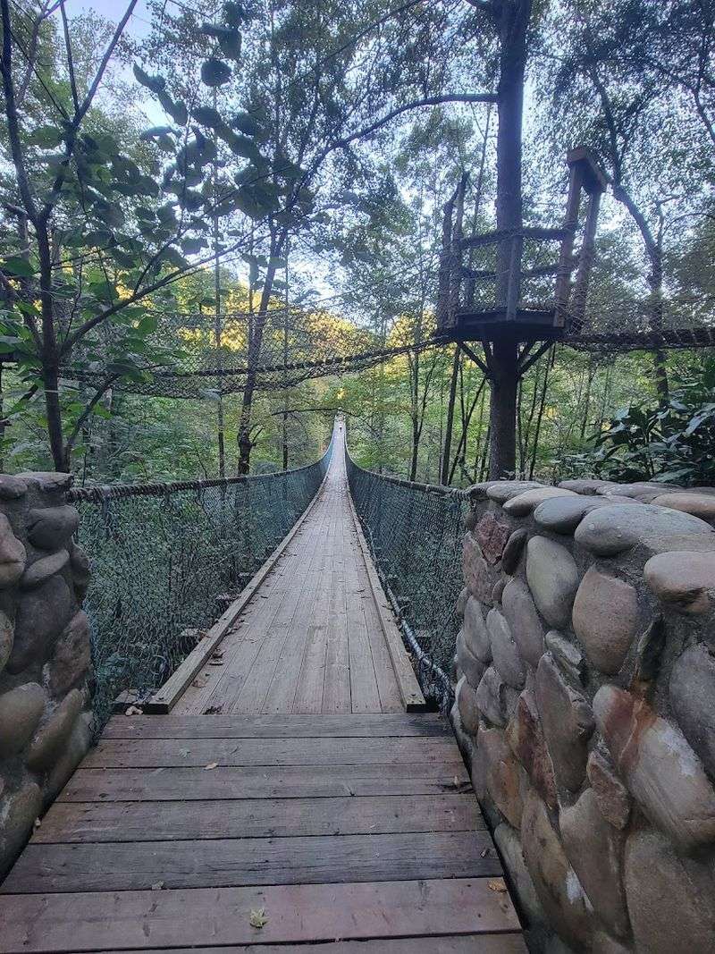 America's Most Thrilling Swinging Bridge