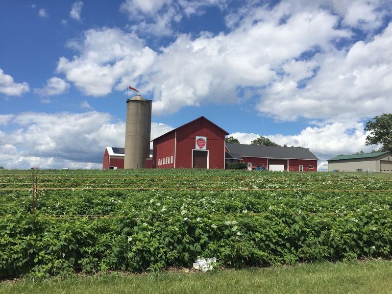 The Farm Has Been A Local Favourite Since 1969