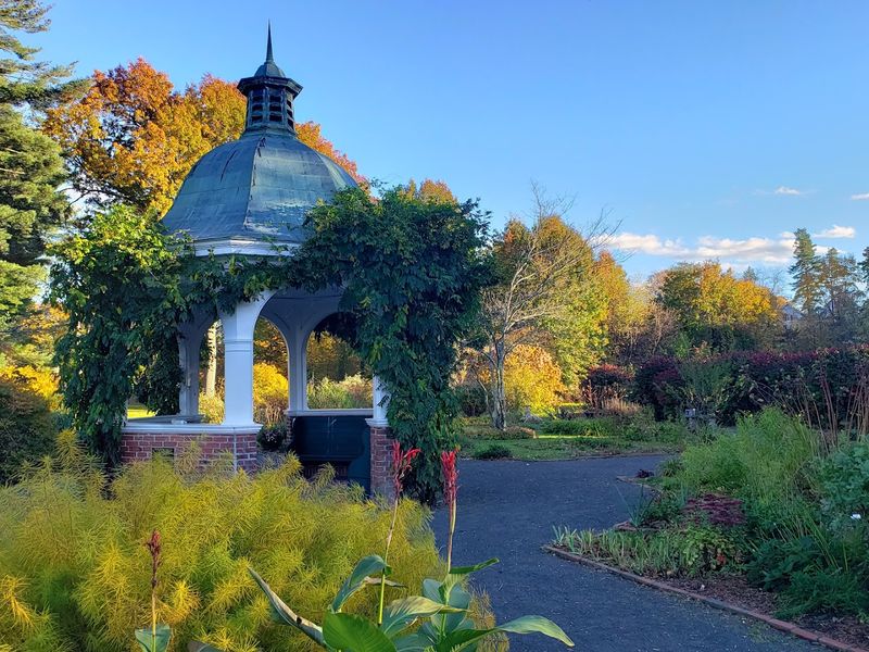 Grandmothers' Garden, Westfield