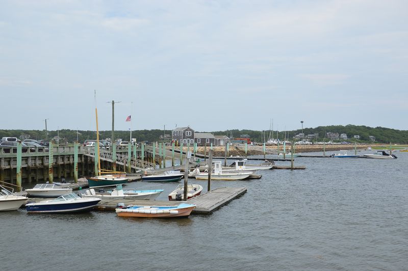 Wellfleet Oysters And The Flavor That Built A Town