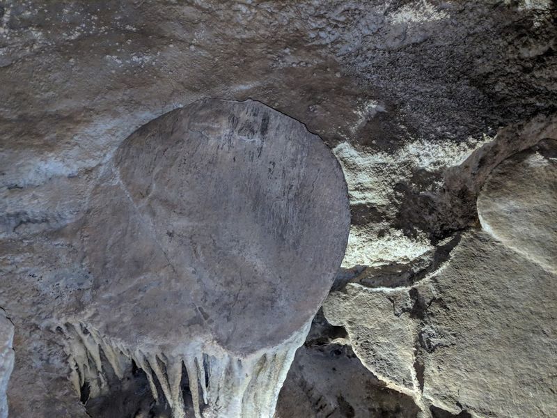 Its Shield Formations Are Some Of The Cave's Biggest Highlights