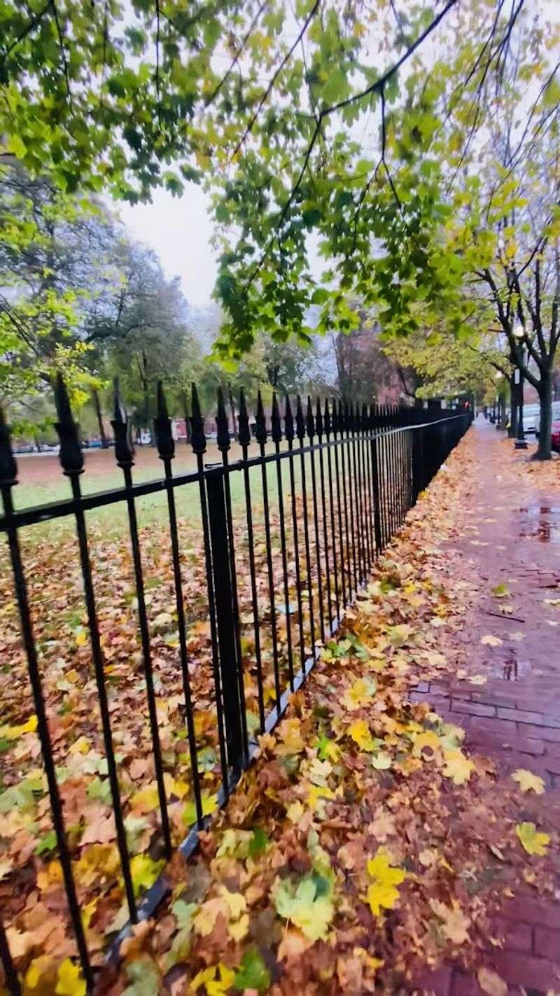 Sugar Maples, Silver Lindens, And The Trees That Define The Atmosphere