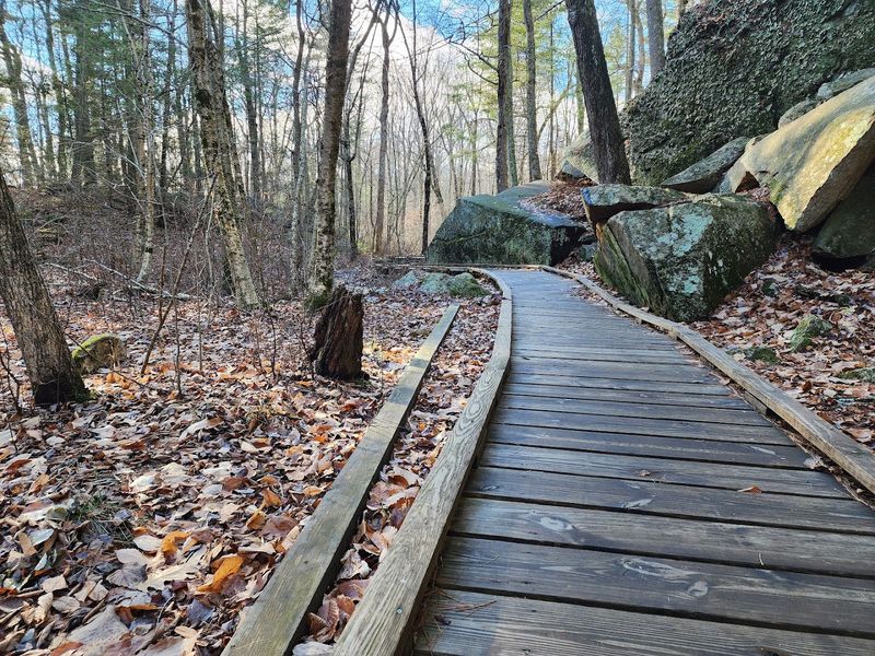 Easier Trails For Those Who Prefer A Quieter Pace