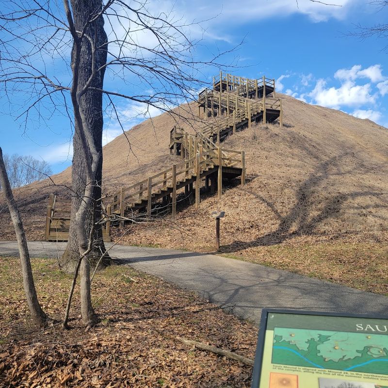 Sauls Mound Stands Taller Than You Expect
