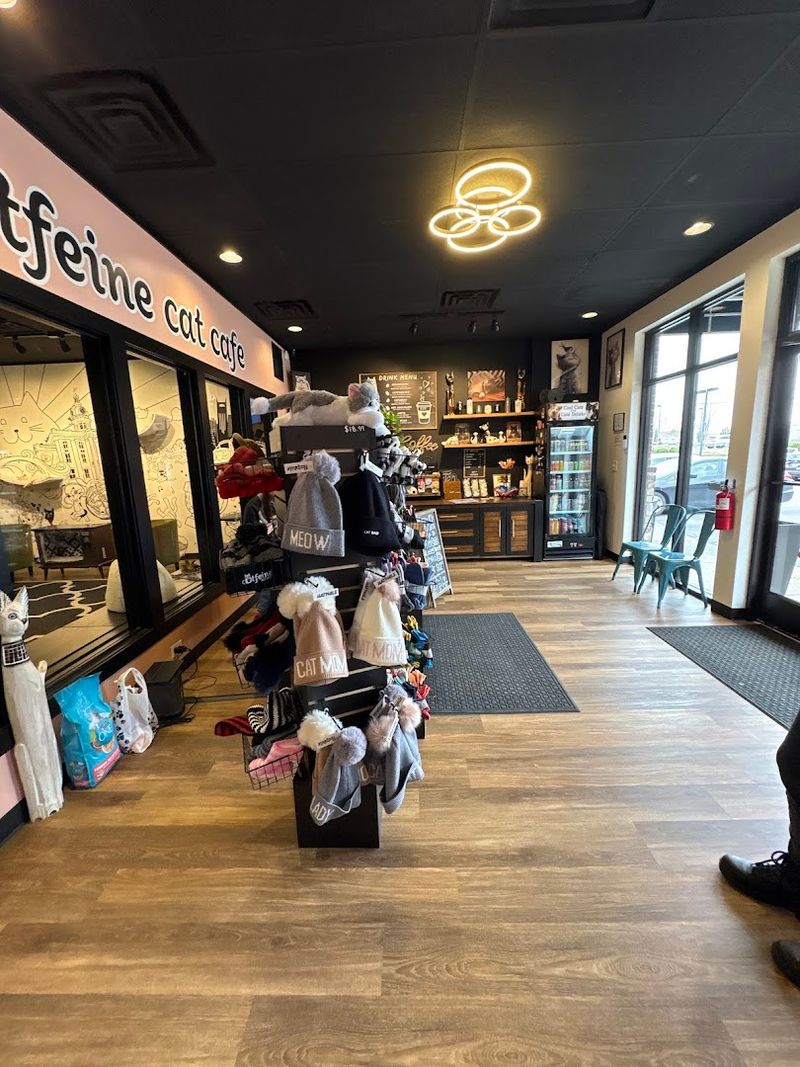 Merchandise, Souvenirs, And The Front Of The Shop