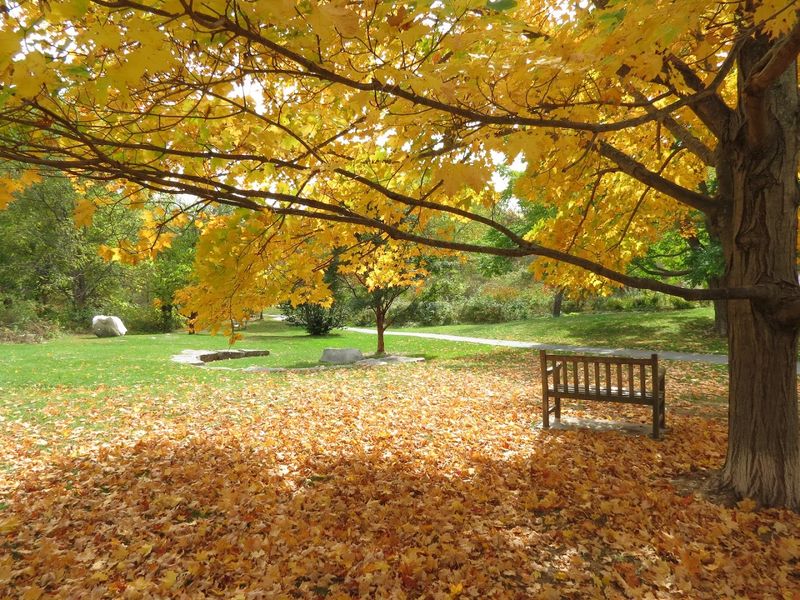 Picnicking Here Feels Like A Civilized Afternoon Well Spent