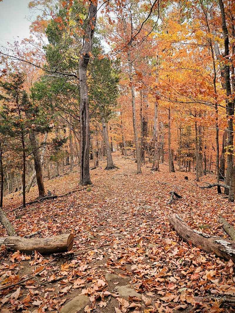 Wildlife And Wildflowers Make Every Season Worth Visiting