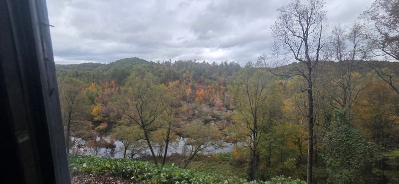 Seasonal Autumn Colors