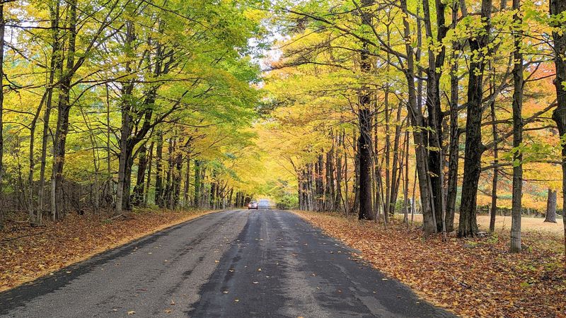 Tree-Canopied Roads Make Parts Of The Byway Feel Magical