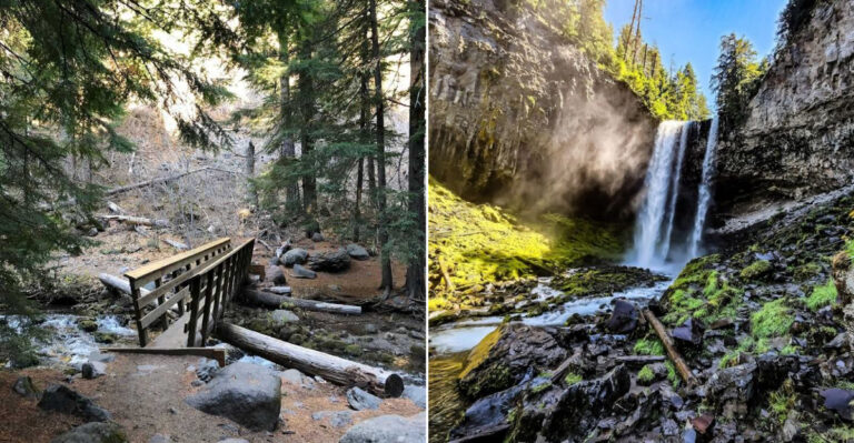 The Easy 1.5-Mile Oregon Hike That Feels Almost Too Scenic To Be Real