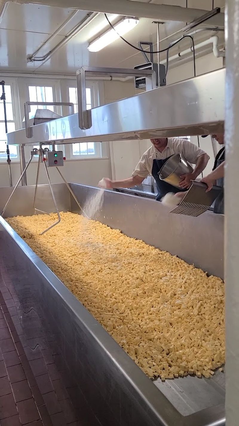 Watching Cheesemakers At Work