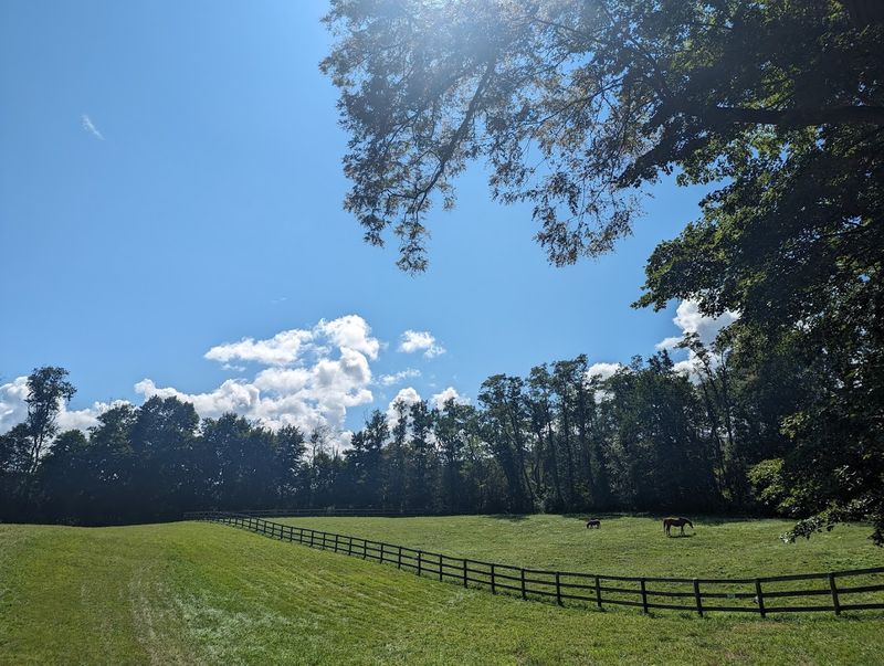 Planning Your Visit To Lilymoore Farm