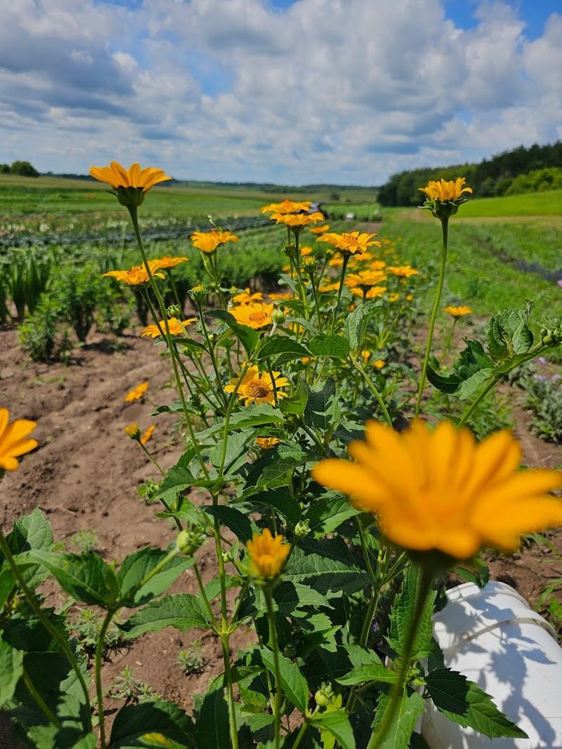 It Offers A Colourful Countryside Escape Near Eau Claire